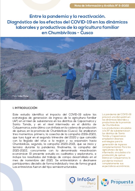 Entre la pandemia y la reactivación. Diagnóstico de los efectos del COVID-19 en las dinámicas laborales y productivas de la agricultura familiar en Chumbivilcas-Cusco
