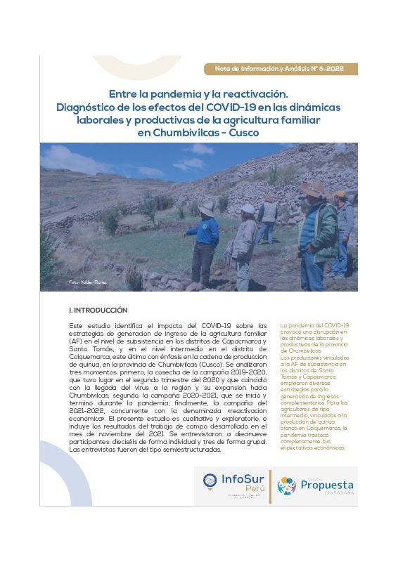 Entre la pandemia y la reactivación. Diagnóstico de los efectos del COVID-19 en las dinámicas laborales y productivas de la agricultura familiar en Chumbivilcas-Cusco